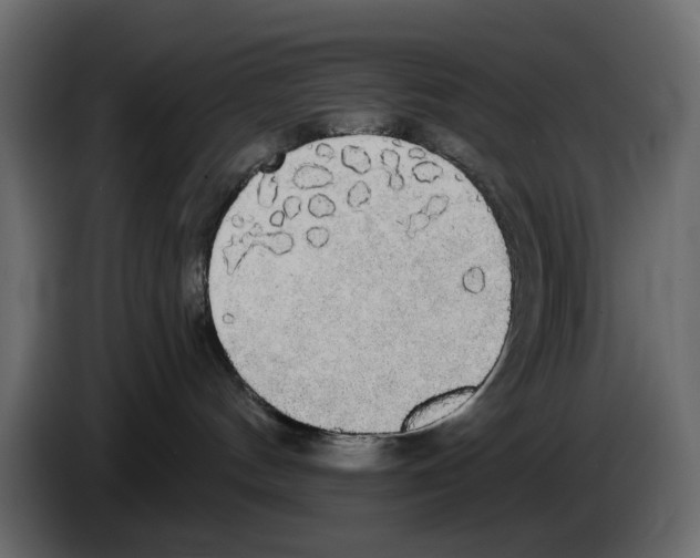 X0000084580144200703231851