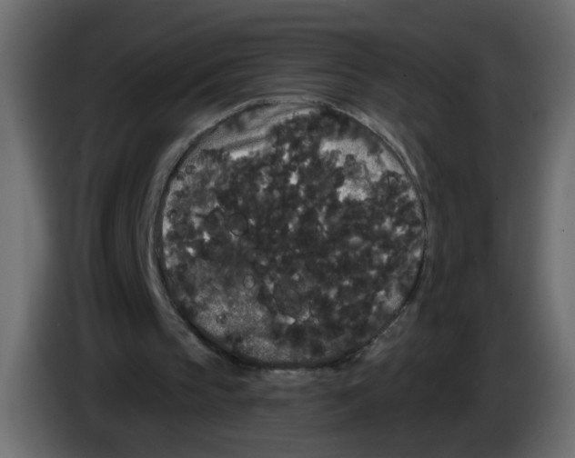 X0000084580145200703231851