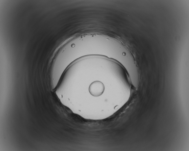X0000084580146200703231851