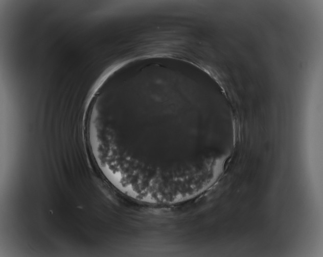 X0000084580147200703231851