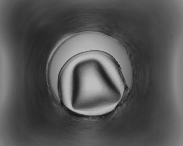 X0000084580148200703231851
