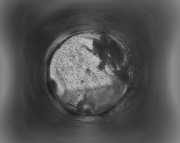 X0000084580149200703231851