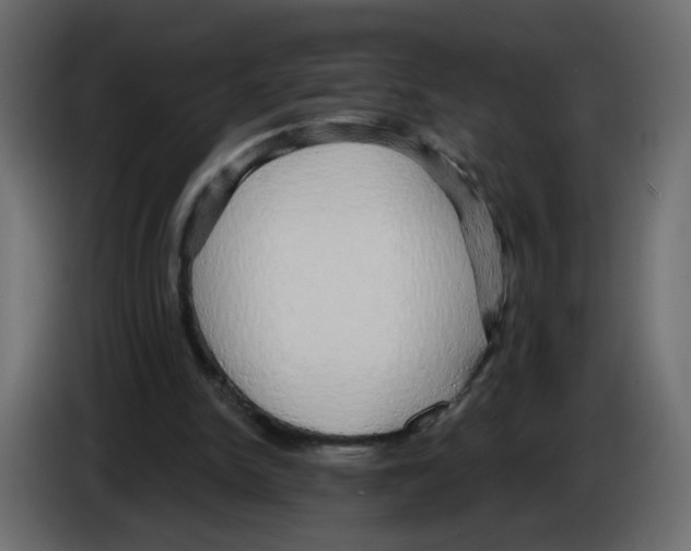 X0000084580150200703231851