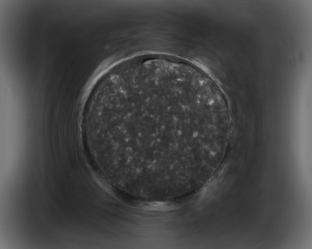 X0000084580151200703231851