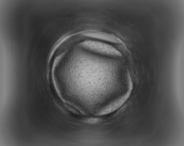X0000084580152200703231851
