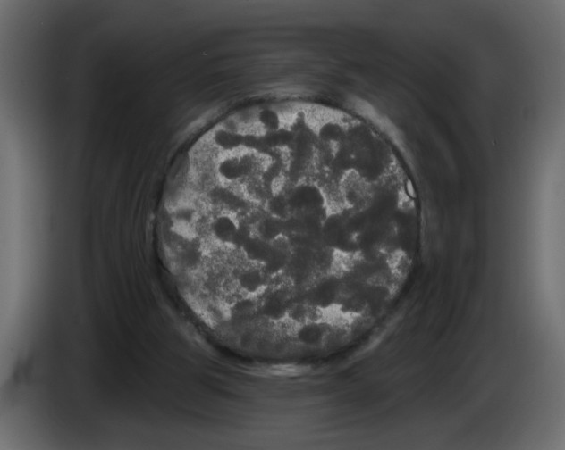 X0000084580153200703231851