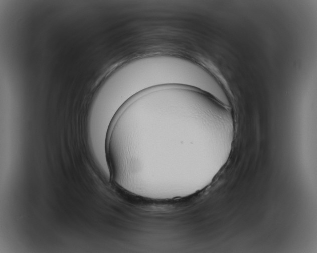X0000084580154200703231851