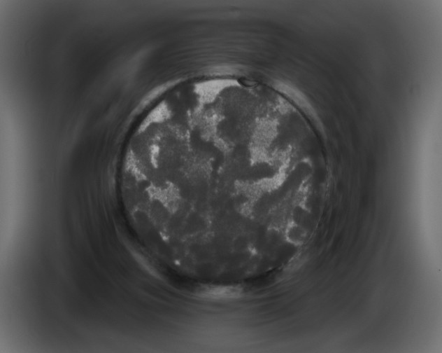 X0000084580155200703231851
