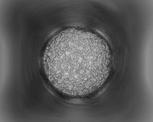 X0000084580157200703231851