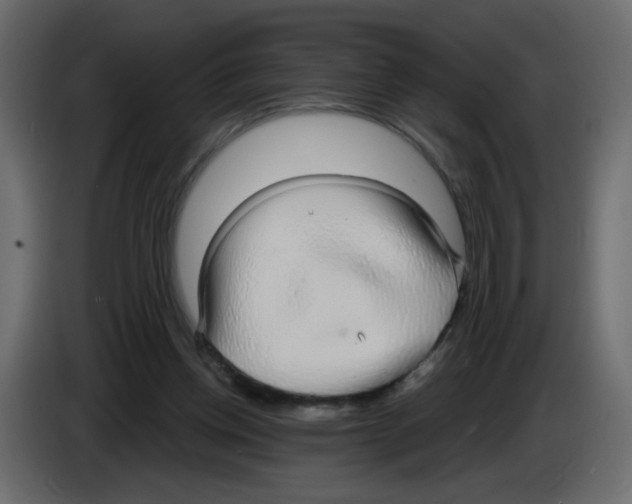 X0000084580158200703231851