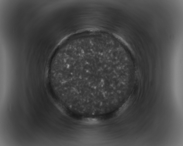 X0000084580159200703231851