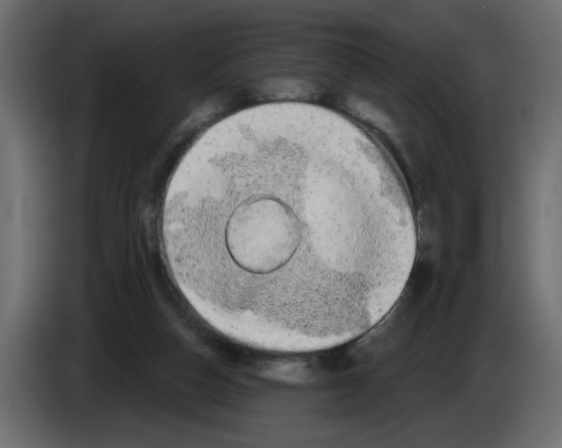 X0000084580162200703231851