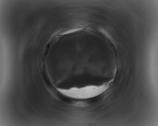 X0000084580163200703231851
