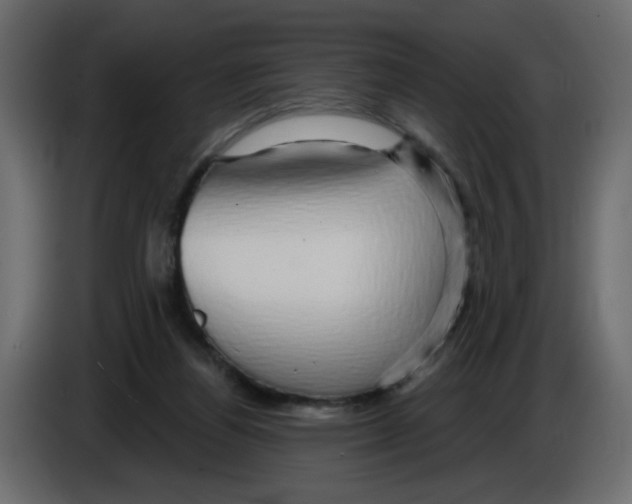 X0000084580164200703231851