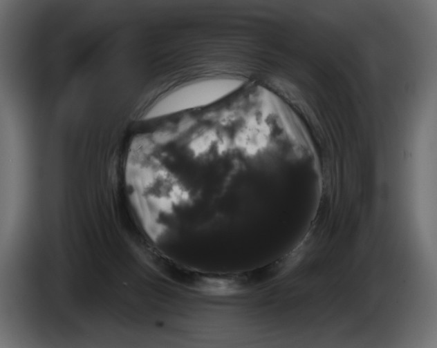 X0000084580167200703231851