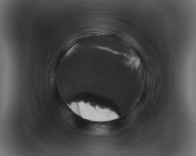 X0000084580169200703231851