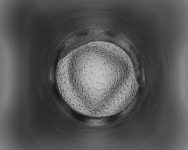 X0000084580170200703231851