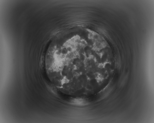 X0000084580171200703231851