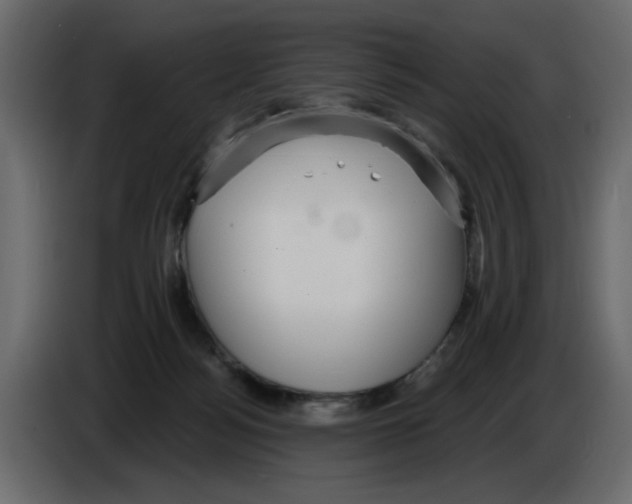 X0000084580172200703231851