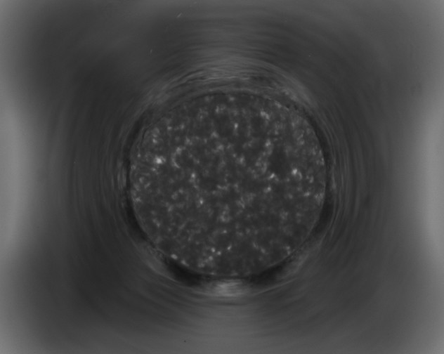 X0000084580173200703231851