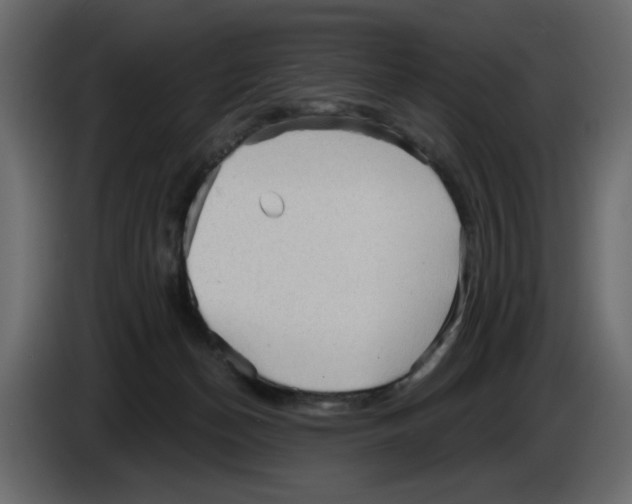 X0000084580174200703231851
