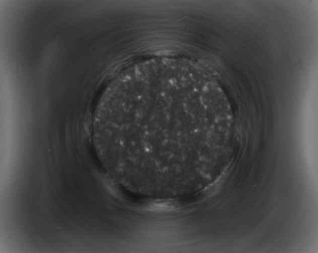 X0000084580175200703231851