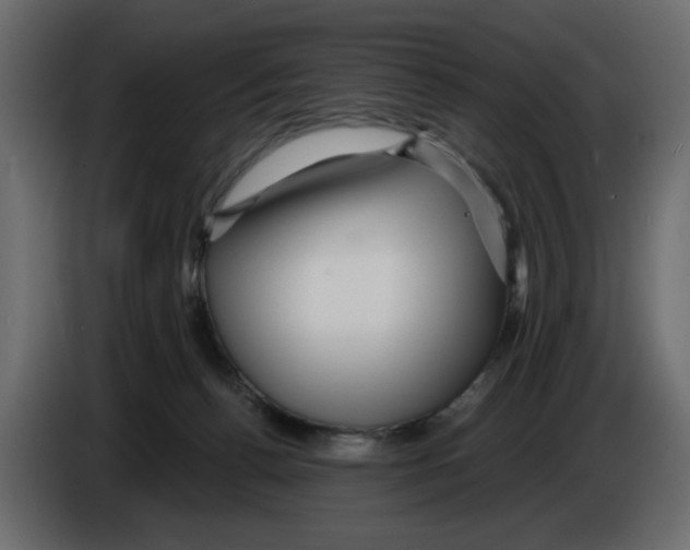X0000084580176200703231851