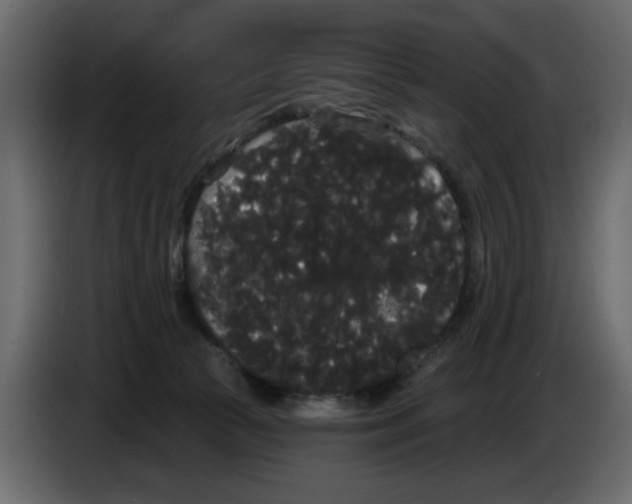X0000084580177200703231851