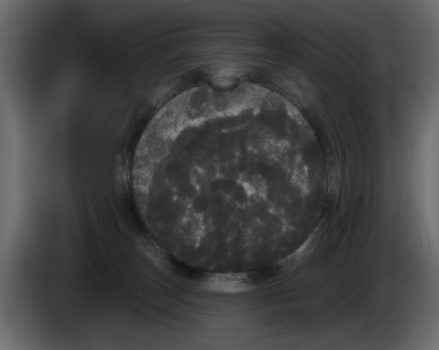 X0000084580179200703231851