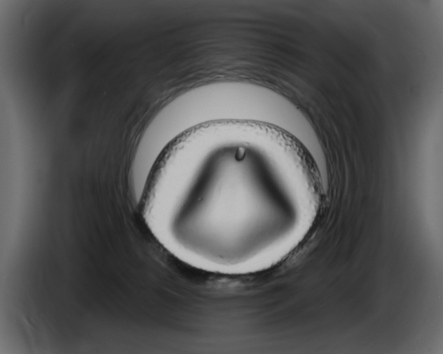X0000084580180200703231851