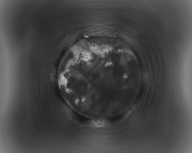 X0000084580181200703231851