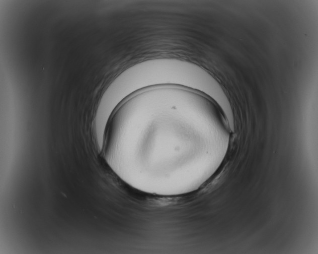 X0000084580184200703231851