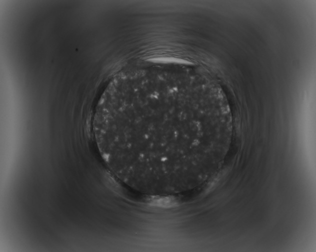 X0000084580185200703231851