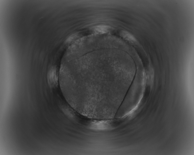 X0000084580186200703231851