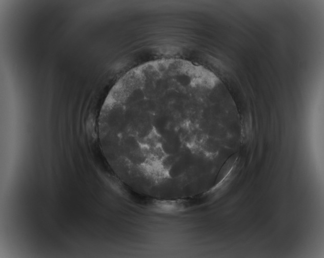 X0000084580187200703231851