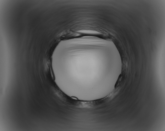 X0000084580188200703231851