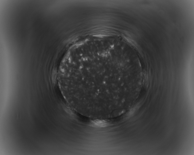 X0000084580189200703231851