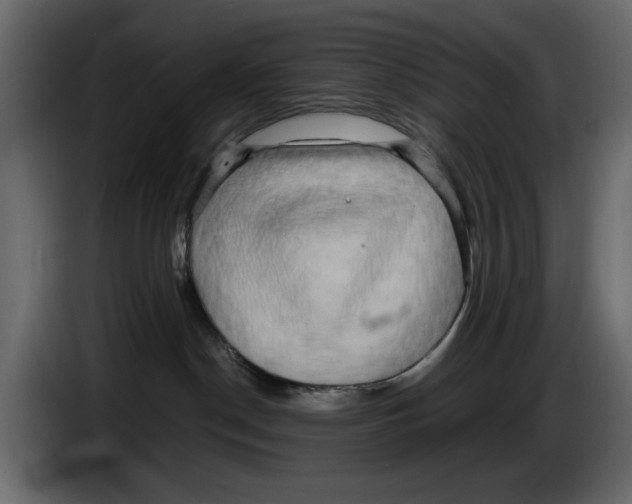 X0000084580190200703231851