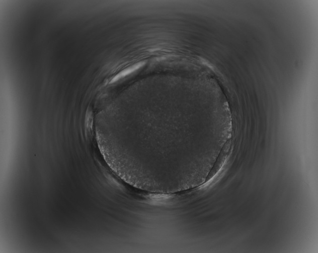 X0000084580192200703231851