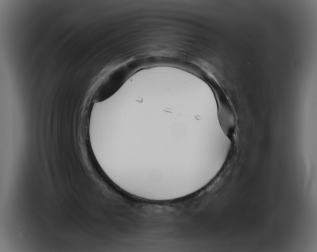 X0000084580193200703231851
