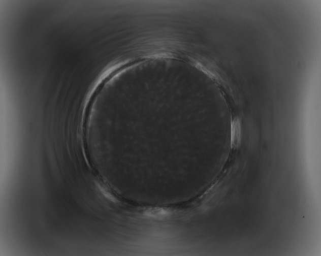 X0000084580195200703231851
