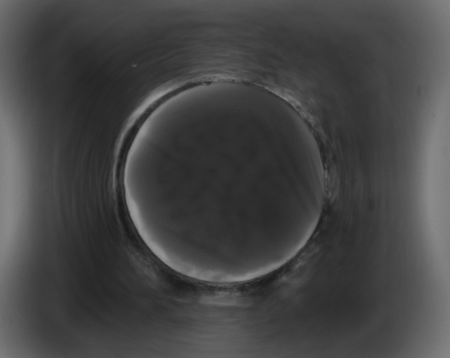 X0000084580196200703231850