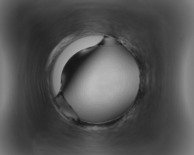 X0000084580197200703231850