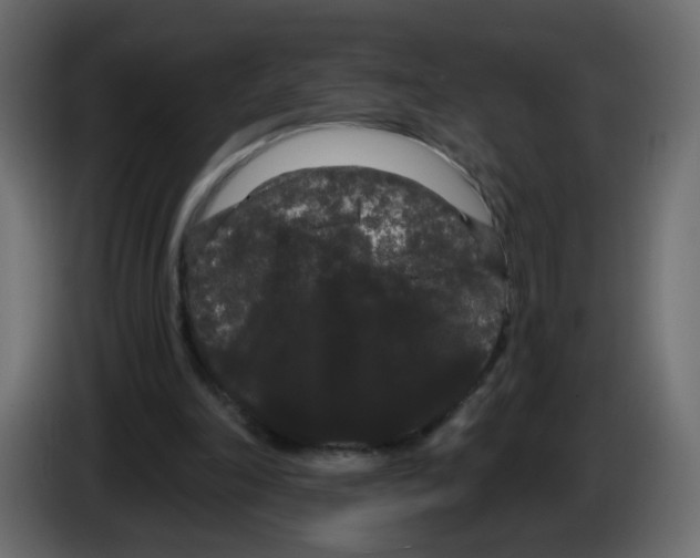 X0000084580198200703231850