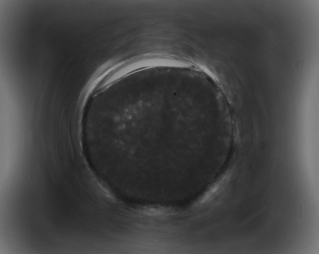 X0000084580199200703231850