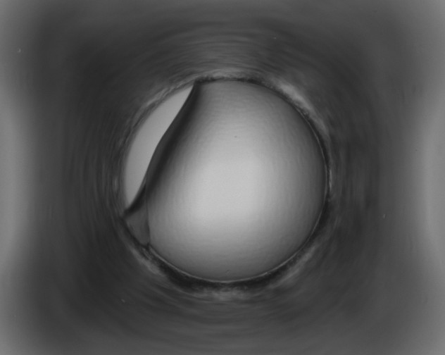 X0000084580201200703231850