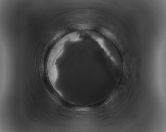 X0000084580202200703231850