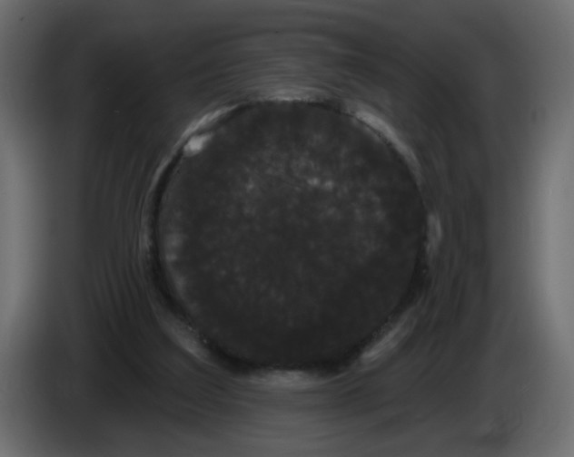 X0000084580203200703231850