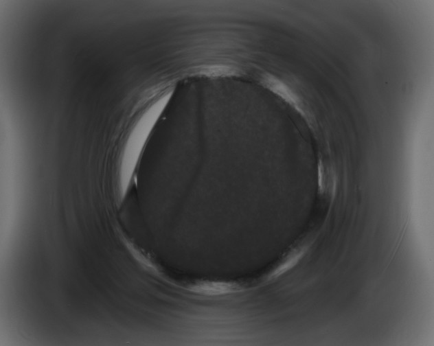X0000084580205200703231850