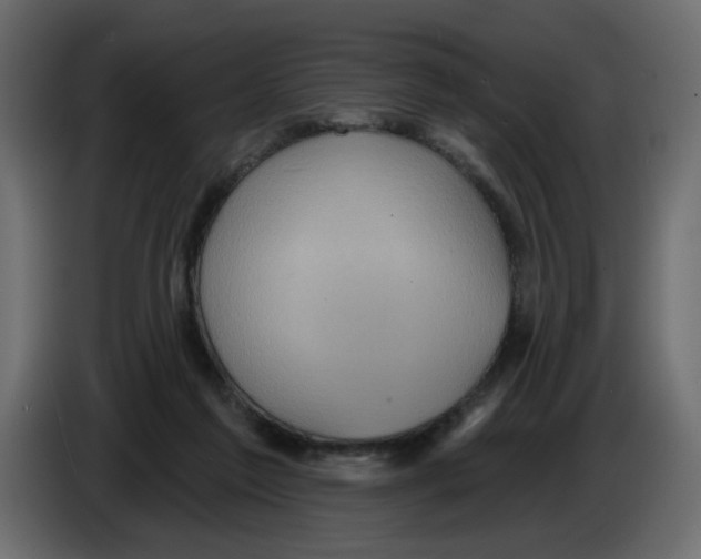 X0000084580213200703231850